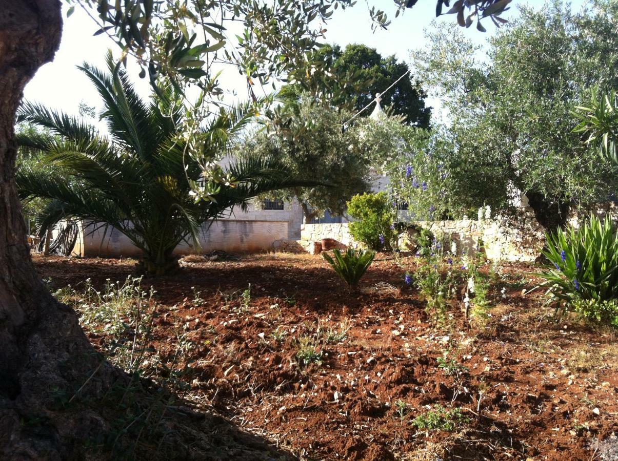 הוילה צ'יסטרנינו Trullo Salamina מראה חיצוני תמונה